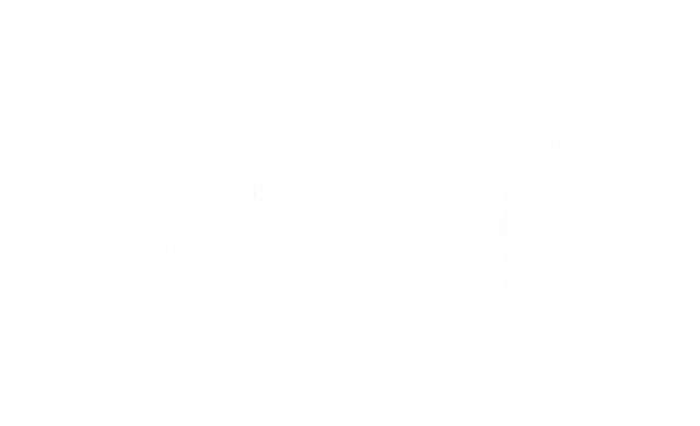 Aur Earplugs